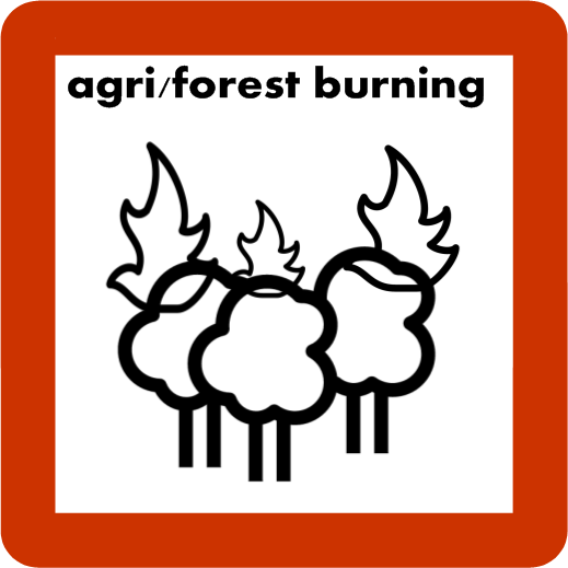 Biomass Burning